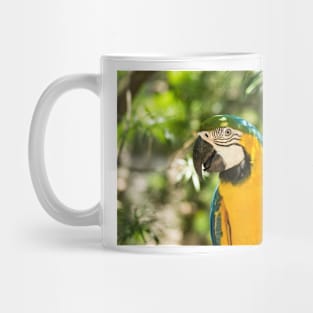 hbs blue macaw Mug